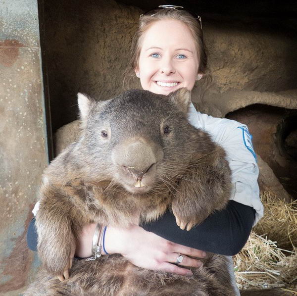 patrick-wombat-09