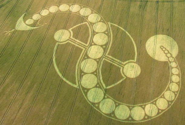 crop-circle-19