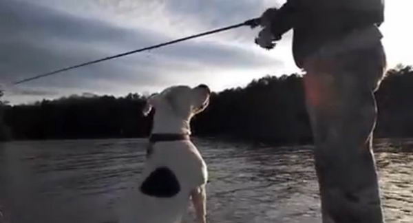 fishing-with-dog