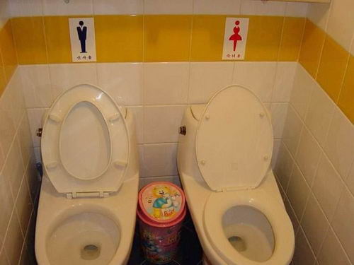 Weird-Toilets-20