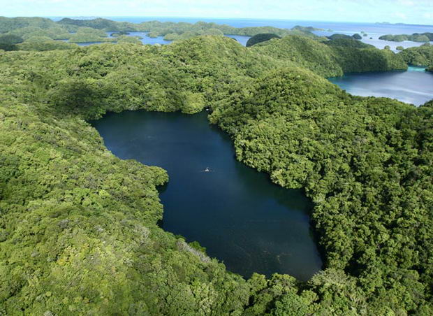 Jellyfish-Lake-Eil-Malk-Island-Palau