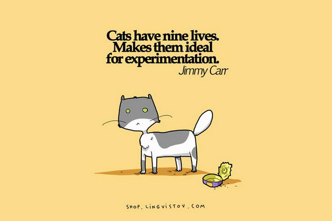 Truths-About-Cats-08