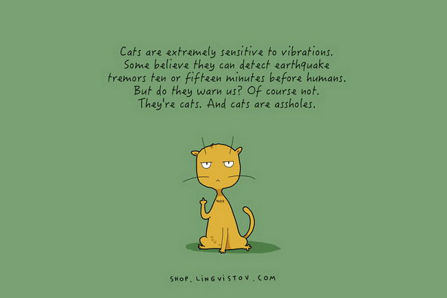 Truths-About-Cats-15