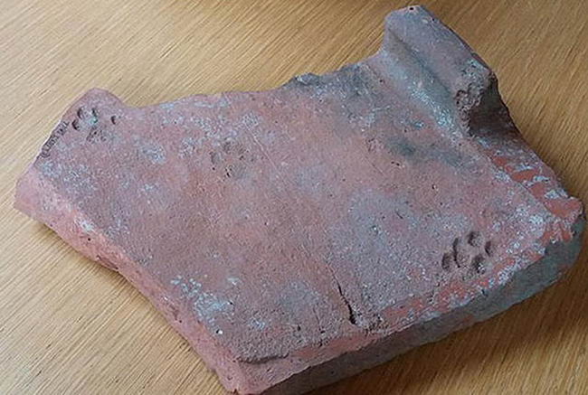 clay-paw-print-cat-roman-tile-01