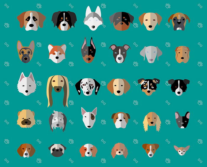 dog-breed-minimal-01