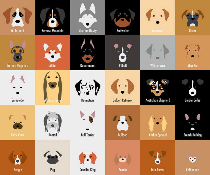 dog-breed-minimal-02