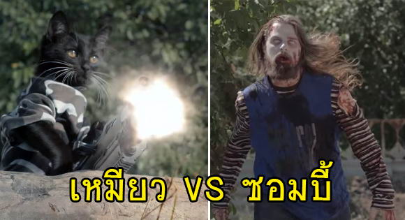 cat-vs-zombie
