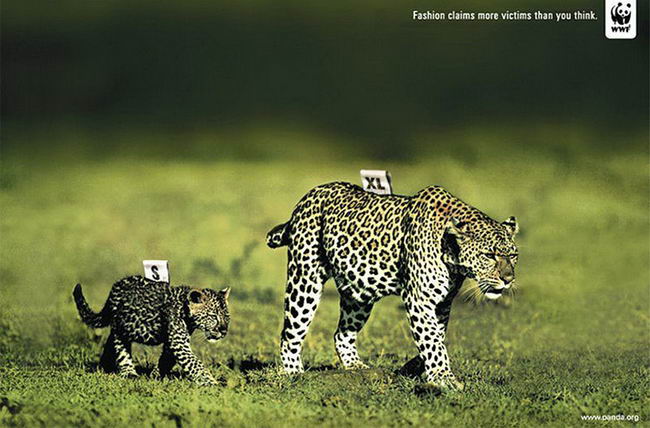 Powerful-Animal-Ads-61