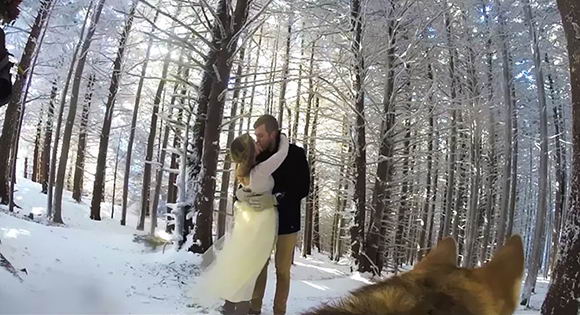 dog-films-wedding-gopro