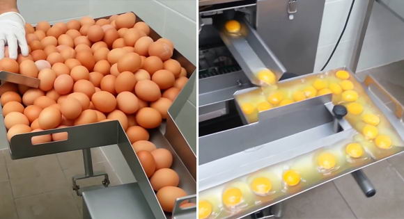 egg-breaker