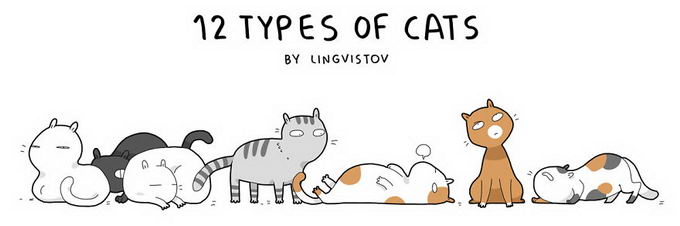 12-type-of-cats-01