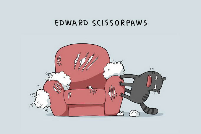 12-type-of-cats-03