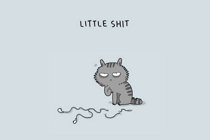 12-type-of-cats-04