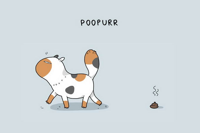 12-type-of-cats-05