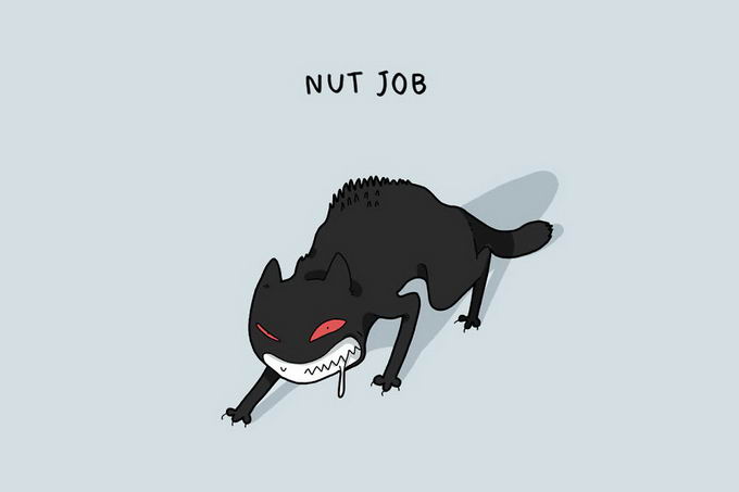 12-type-of-cats-06