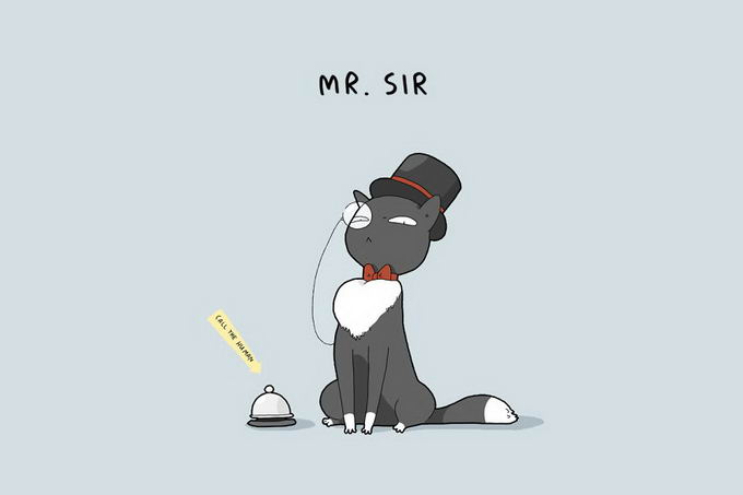 12-type-of-cats-09