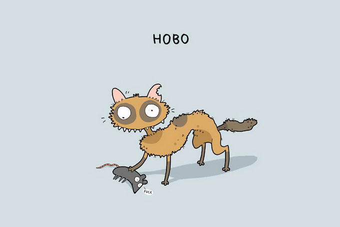 12-type-of-cats-10