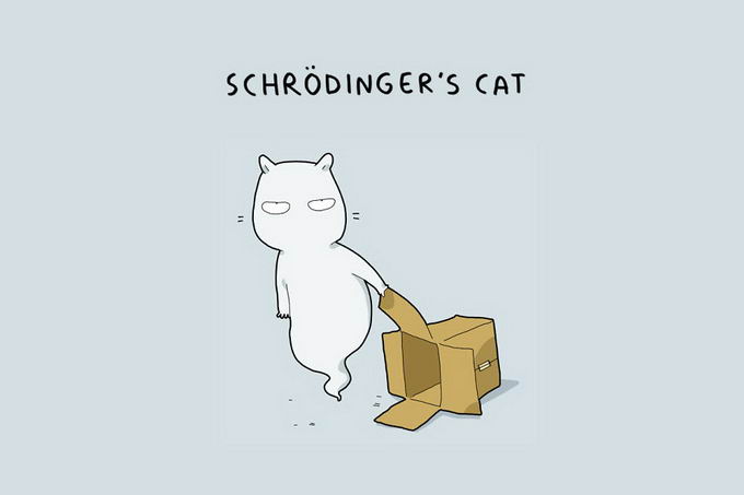 12-type-of-cats-13