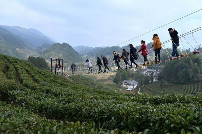 air-corridor-xuanen-tea-park-07