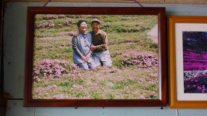 husband-plants-flowers-blind-wife-09