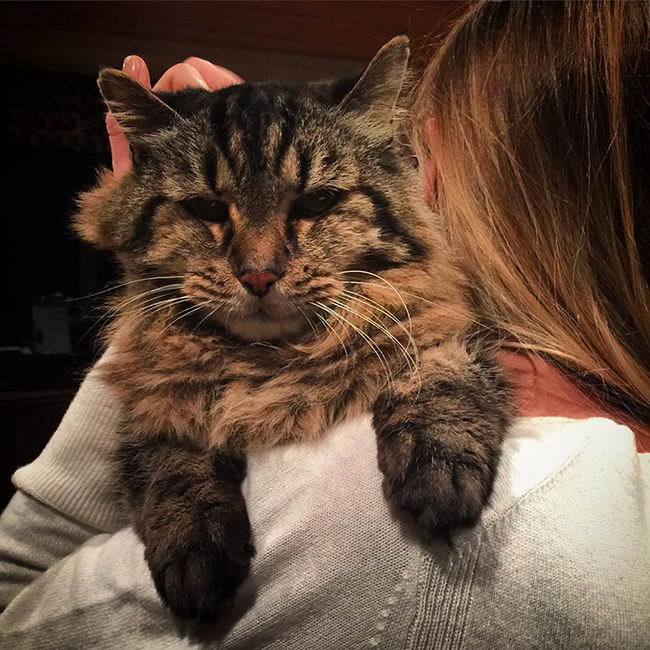 oldest-cat-04