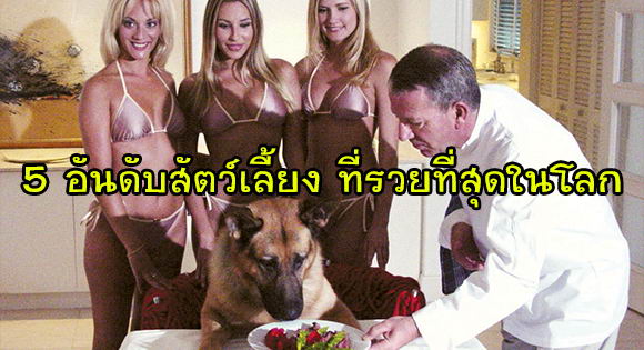 richest-animal