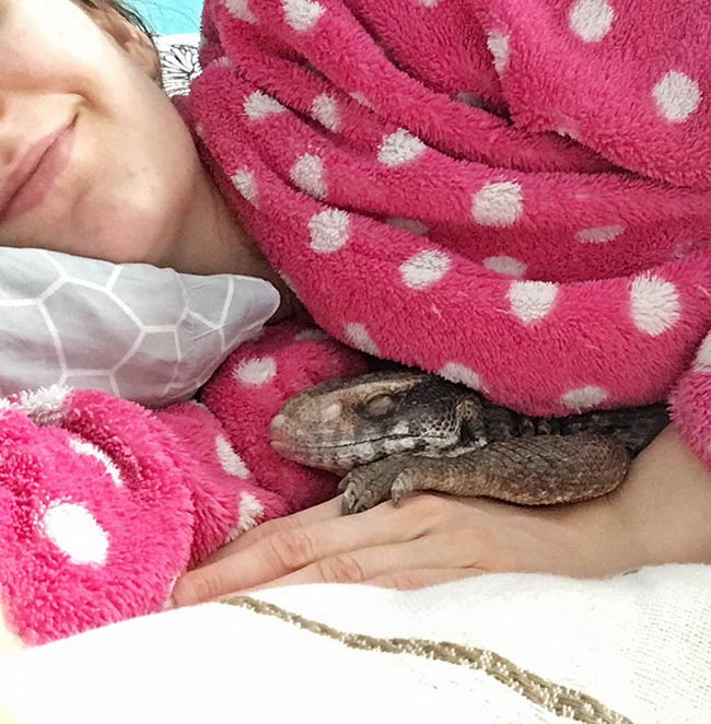 cute-lizard-pet-05