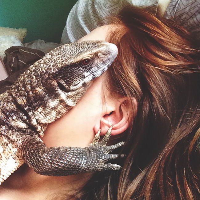 cute-lizard-pet-09