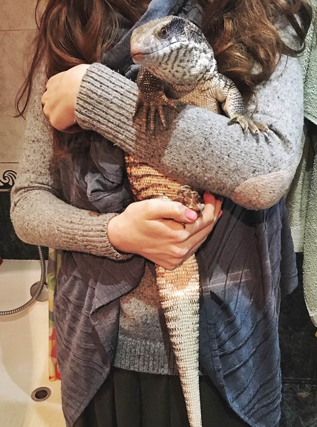 cute-lizard-pet-11