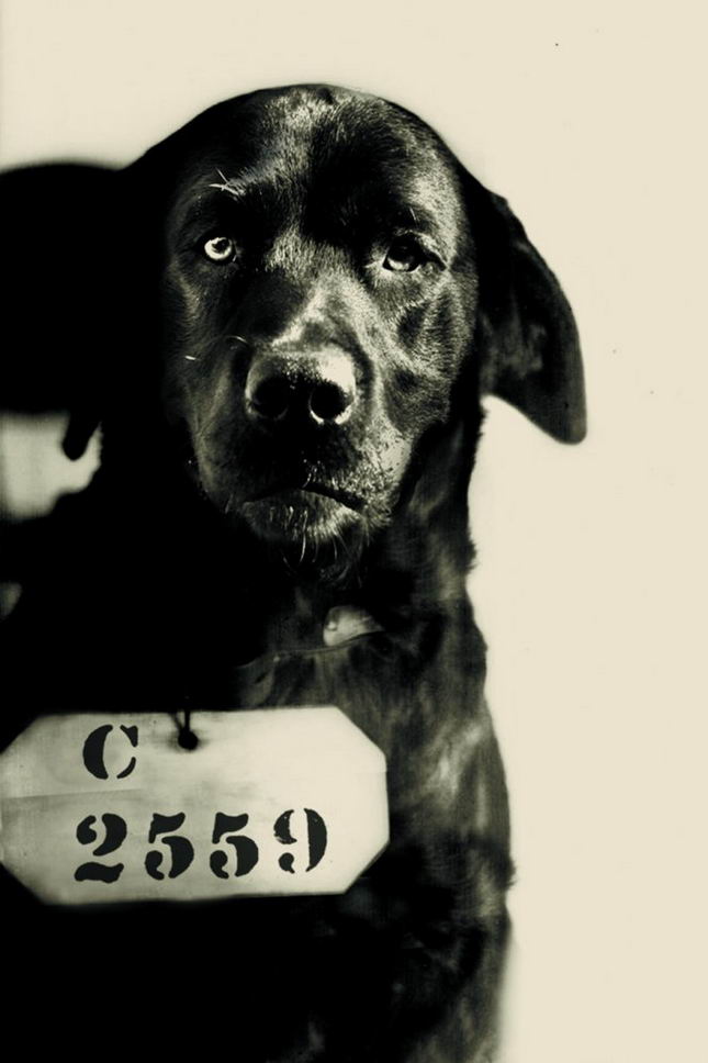 vintage-kid-mugshot-10