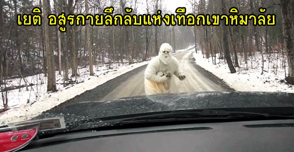 yeti