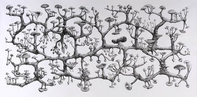 Richard Giblett Recent work : 2006-2009 Represented by Galerie Dusseldorf 21. Mycelium Rhizome, 2009 Pencil on paper 120 x 240 cm Collection of the artist Represented by Galerie Dusseldorf