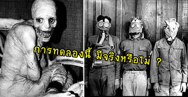 russian-sleep-experiment | เพชรมายา
