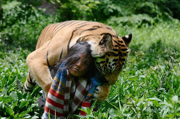 Tiger-nanny by Ursula Moray Williams