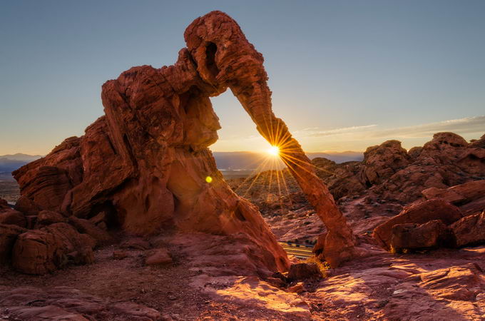 Harvesting Light