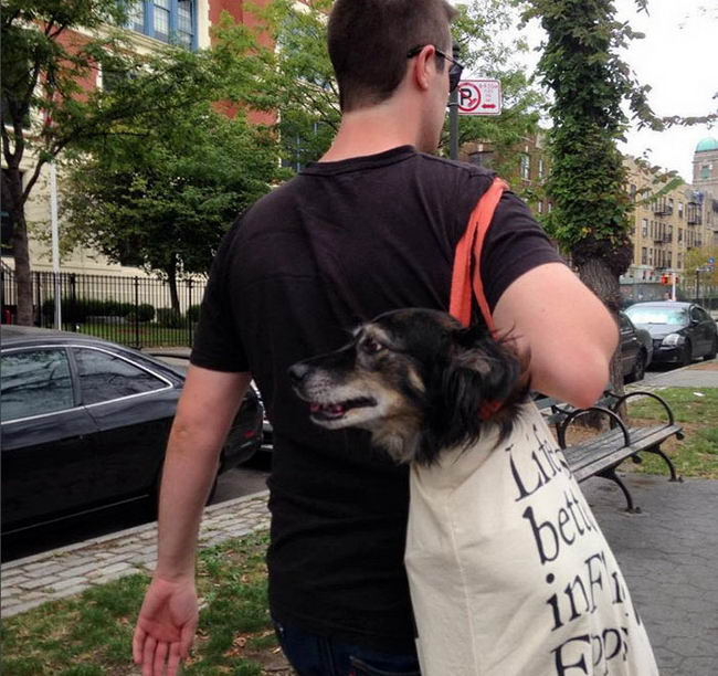 man-with-dog-tote-bag-02