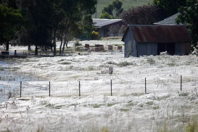 AUSTRALIA FLOODS