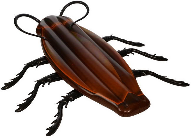 Cockroach-Raft-01