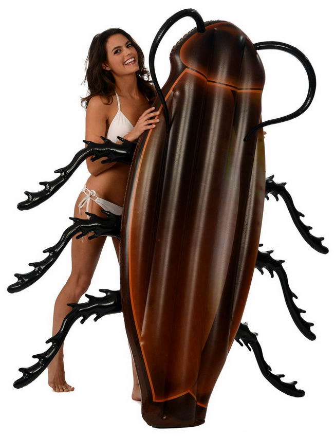 Cockroach-Raft-02