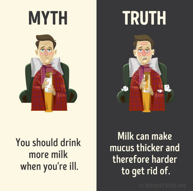 drink-myth-09