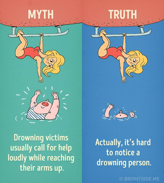 myth-truth-06