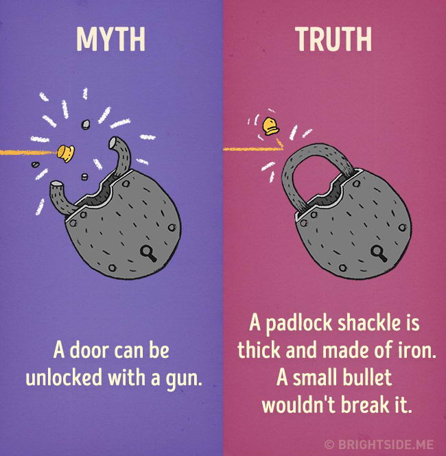myth-truth-09