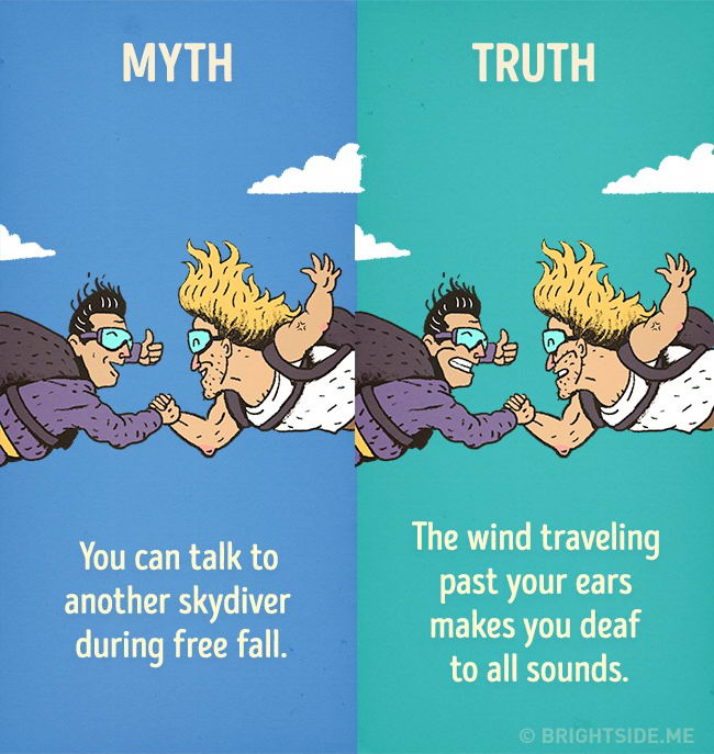 myth-truth-10