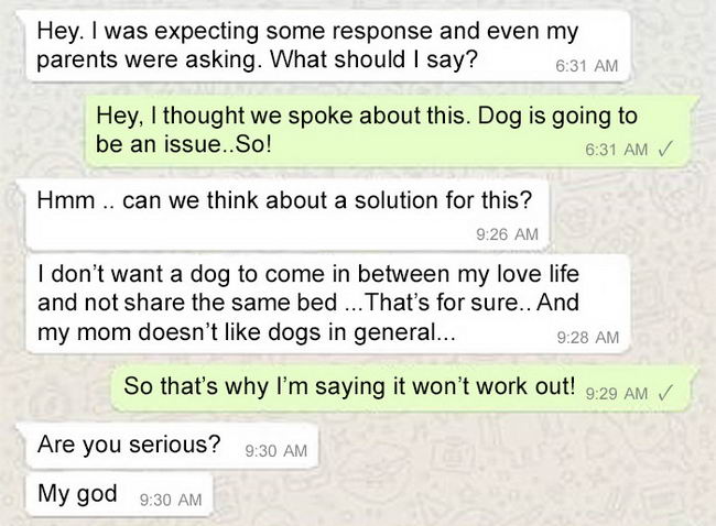rejected-marriage-dog-02