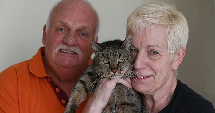 31-year-old-cat-nutmeg-06