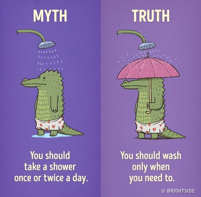 healthy-myth-truth-03