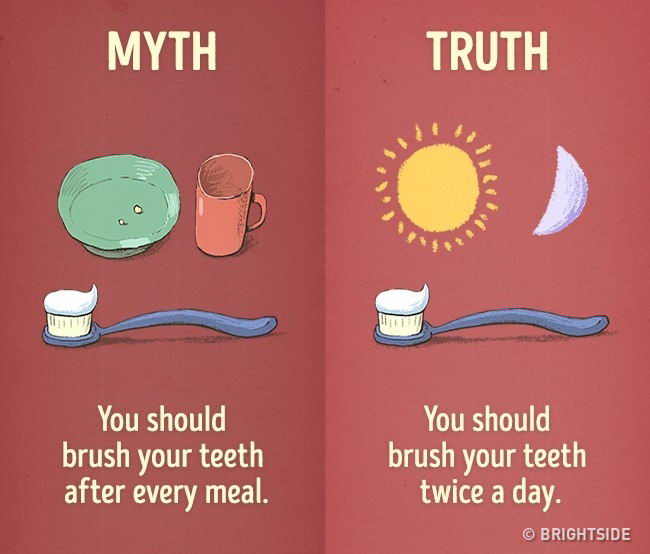 healthy-myth-truth-05
