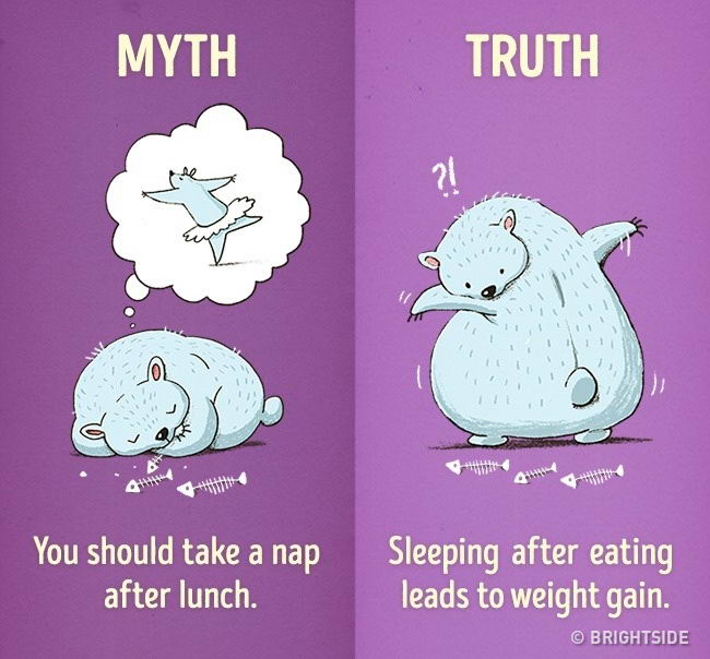 healthy-myth-truth-06