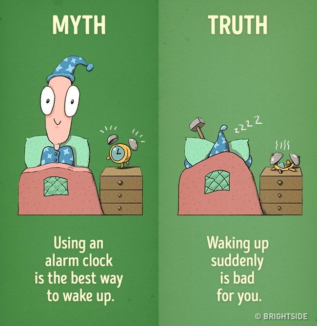 healthy-myth-truth-10