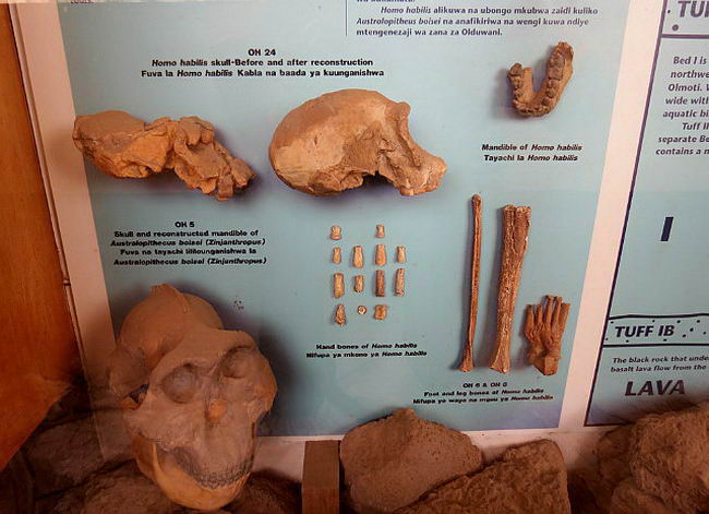 archaeological-discoveries-16